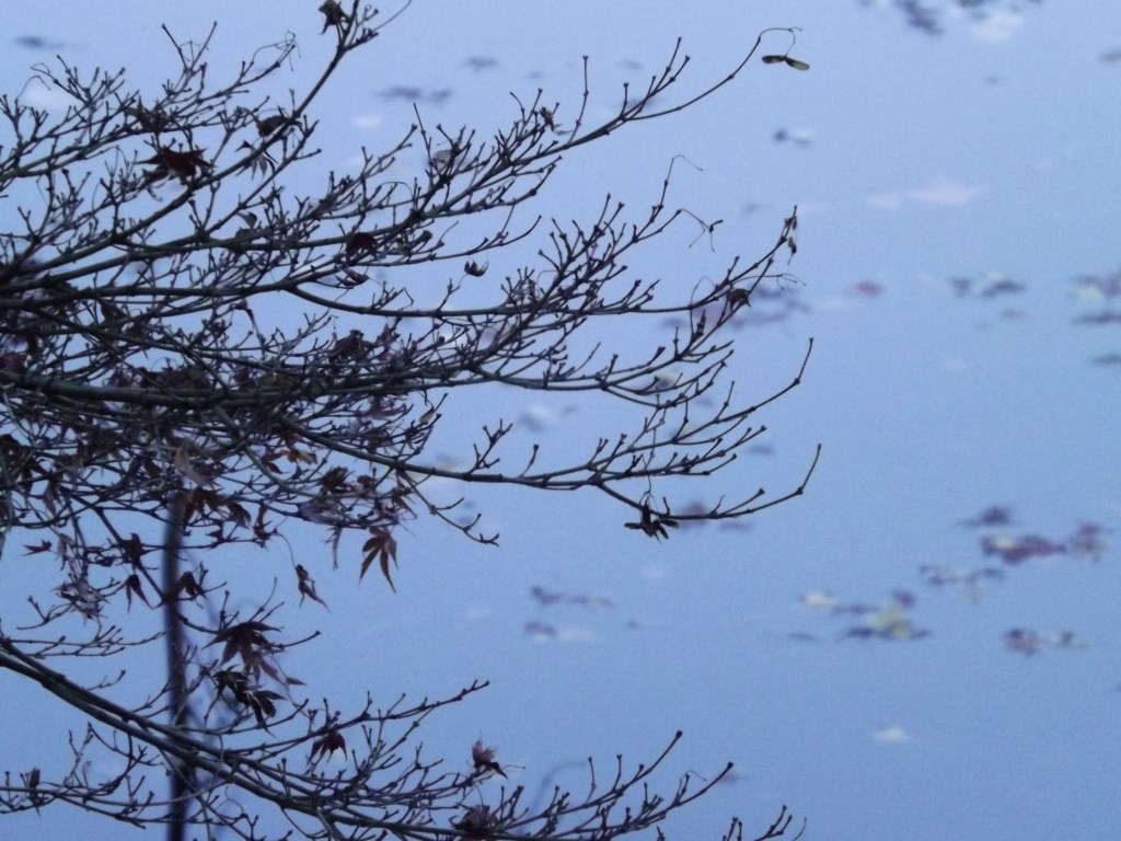 Agency, Nihilism, and Good&nbsp;Places: