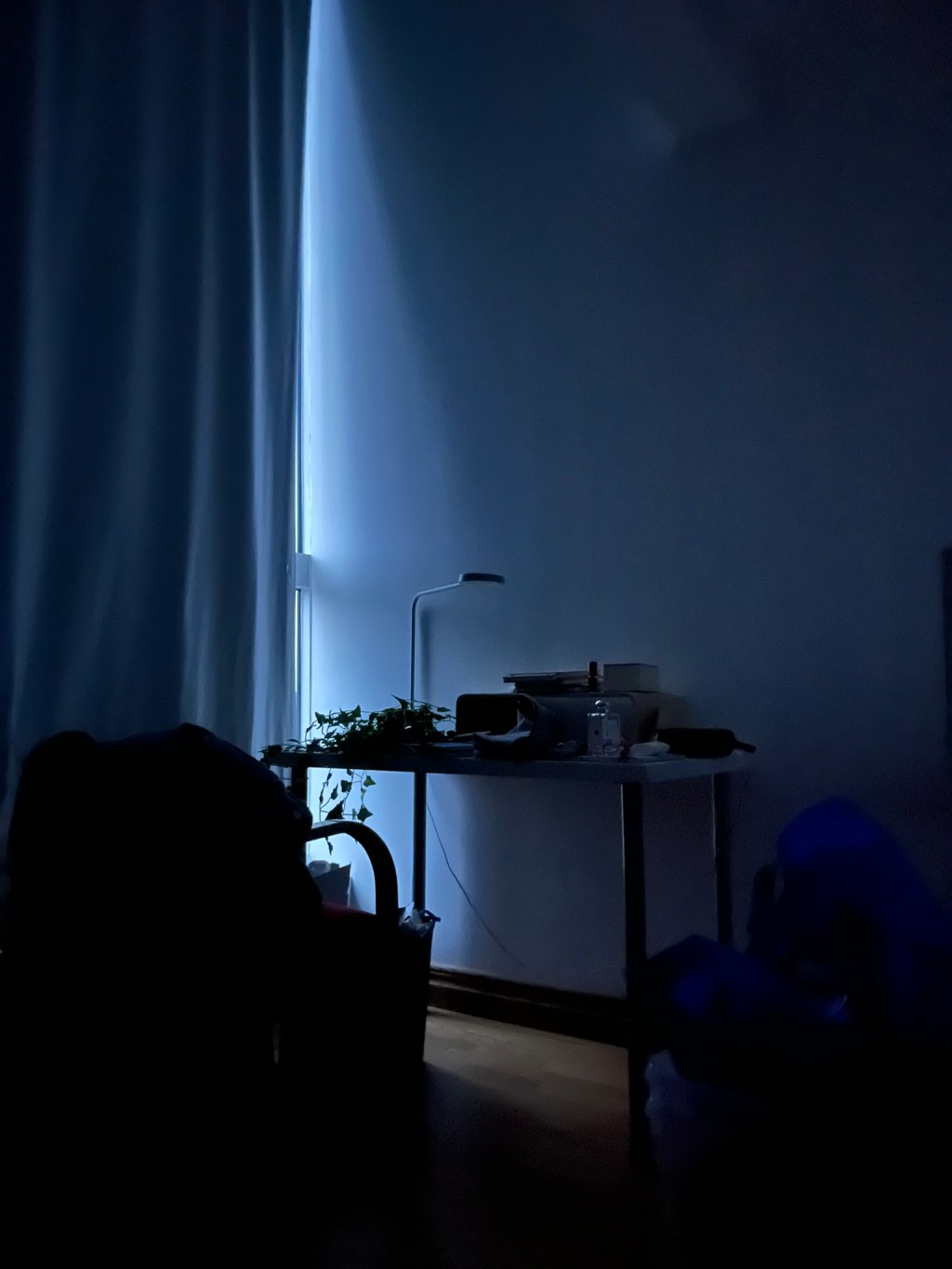 Winter Jackets, Favourite Colours, and Blue Clothes